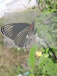 房產(chǎn)遺囑范文(貸款房產(chǎn)遺囑范文)