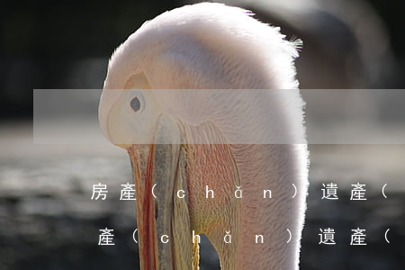 房產(chǎn)遺產(chǎn)糾紛(房產(chǎn)遺產(chǎn)糾紛是協(xié)商好還是打官司好)