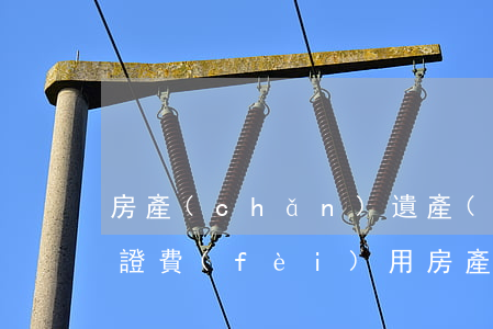 房產(chǎn)遺產(chǎn)繼承公證費(fèi)用(房產(chǎn)遺產(chǎn)繼承公證收費(fèi)標(biāo)準(zhǔn))