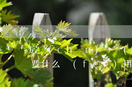 房產(chǎn)遺產(chǎn)繼承需要什么費(fèi)用(遺產(chǎn)繼承手續(xù)費(fèi)怎么算)