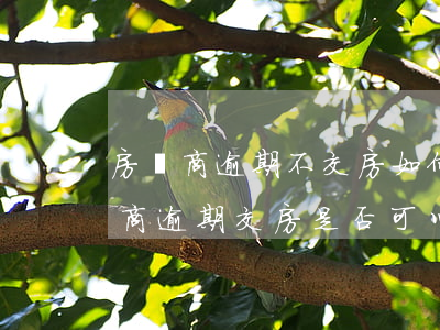 房產商逾期不交房如何起訴(告開發(fā)商逾期交房是否可以不用請律師)