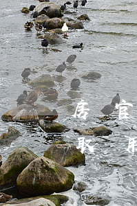 房產官司怎么收費(律師打房子的官司如何收取費用)