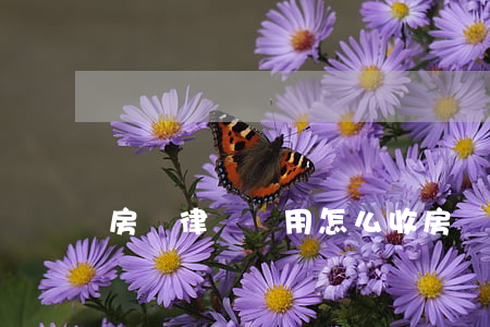 房產律師費用怎么收(房產官司律師費用收取標準)