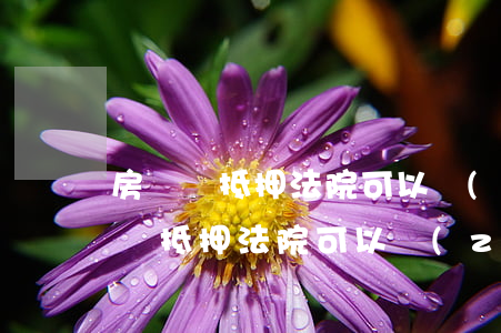 房產證抵押法院可以執(zhí)行嗎(房產證抵押法院可以執(zhí)行嗎)