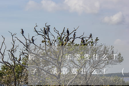 房產辦繼承需要什么手續(xù)怎么辦(房子繼承需要什么手續(xù)怎么辦)