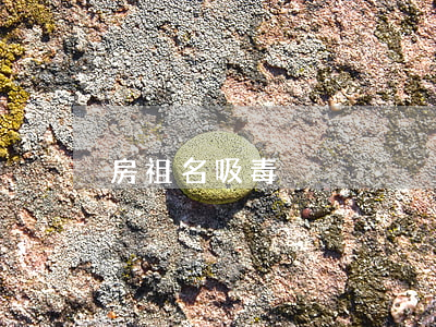 房祖名吸毒