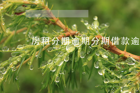 房租分期逾期 分期借款逾期