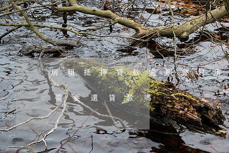 房租抵押貸款逾期會封(房子被抵押查封了,還需要還貸款嗎)