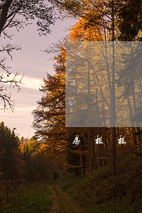 房租租賃合同模板(房屋租賃合同模板下載)