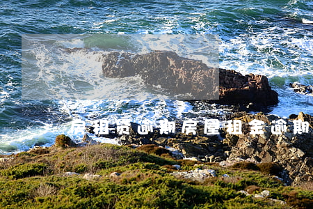 房租贷逾期(房屋租金逾期利息)