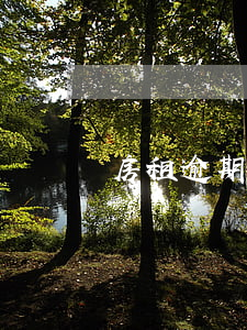 房租逾期3天-房租逾期3天