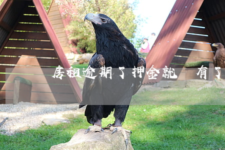 房租逾期了押金就沒有了嗎