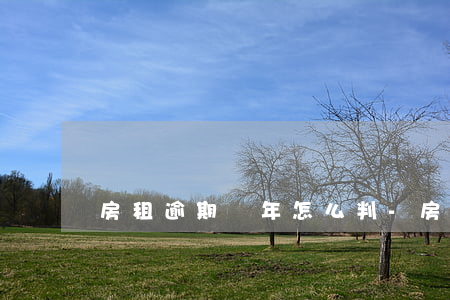 房租逾期兩年怎么判-房租可以逾期幾天嗎