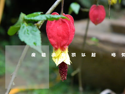 房租逾期可以起訴(拖欠房租幾個月可以起訴)