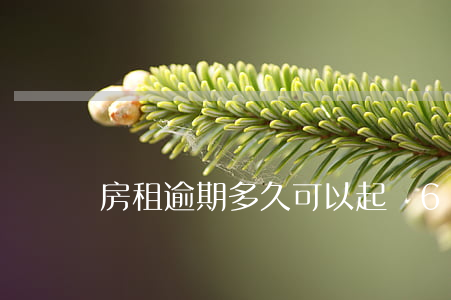 房租逾期多久可以起訴6(房租到期逾期賠償)