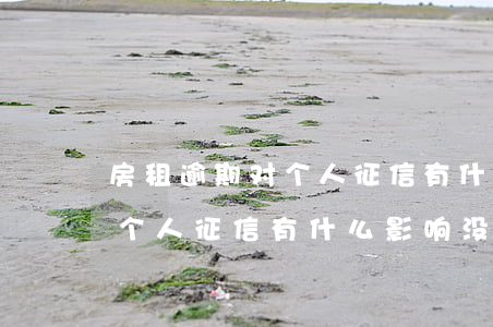 房租逾期对个人征信有什么影响 房租逾期对个人征信有什么影响没
