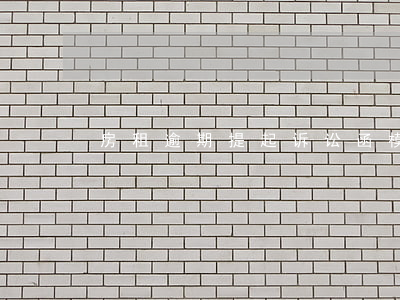 房租逾期提起诉讼函模版(拖欠房租起诉书)