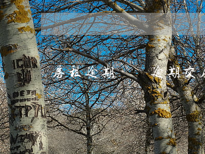 房租逾期繳費(逾期交房租每天多少滯納金)