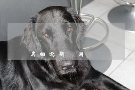 房租逾期費用標準