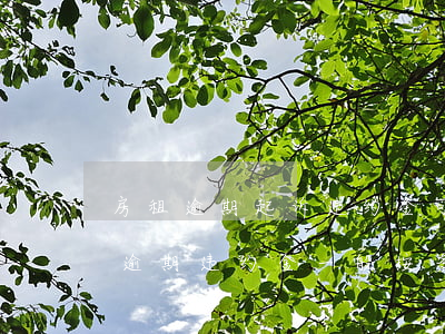 房租逾期起诉违约金可以成功吗-租房租金逾期违约金一般按多少收取