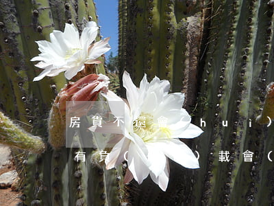 房貨不還會(huì)影響信用卡嗎(信用卡有負(fù)載會(huì)影響買房嗎)