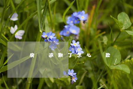 房貨逾期了怎么還款