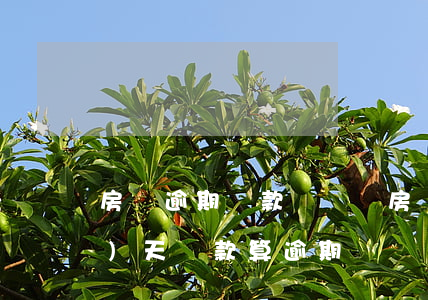 房貨逾期還款記錄嗎(房貸逾期當(dāng)天還款算逾期嗎)