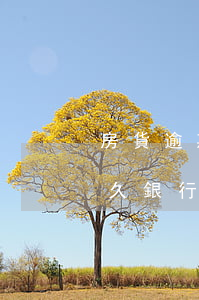 房貨逾期銀行起訴要多長時間呢 房貸逾期多久銀行可以起訴