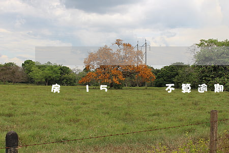 房貸15號幾點不算逾期(房貸逾期15天)