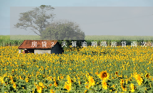 房貸2天算逾期嗎(房貸兩次逾期一天)