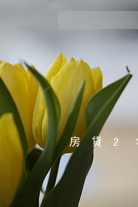 房貸2年前有逾期能辦理信用卡嗎