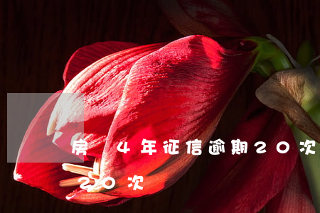 房貸4年征信逾期20次(房貸4年征信逾期20次)