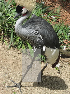 房貸5年內(nèi)逾期還款6次(5年內(nèi)4次逾期能房貸嗎)