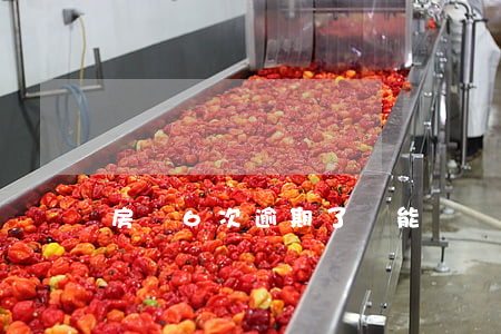 房貸6次逾期了還能辦嗎