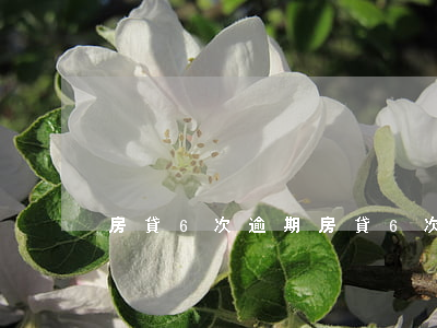 房貸6次逾期(房貸6次逾期還能辦房貸嗎)