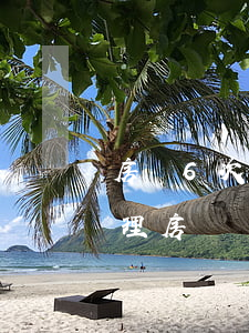 房貸6次逾期還能辦房貸嗎（逾期4次可以辦理房貸嗎）