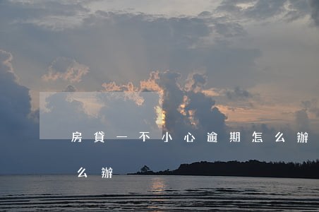 房貸一不小心逾期怎么辦(貸款買房逾期了怎么辦)