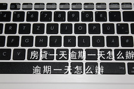 房貸一天逾期一天怎么辦(個(gè)人房貸逾期一天怎么辦)