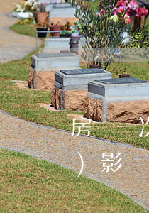 房貸一次逾期征信(房貸逾期一次會(huì)影響征信嗎)