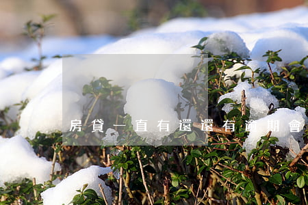房貸一直有還還有逾期會被起訴嗎