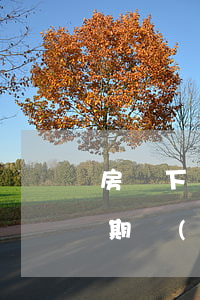 房貸下來(lái)后信用卡逾期(信用卡逾期過(guò)買(mǎi)房子還能貸到款嗎)