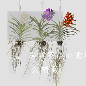 房貸不小心逾期一天(房貸不小心逾期一天怎么補救)