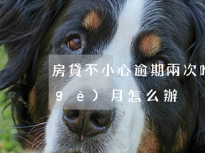 房貸不小心逾期兩次咋辦(房貸逾期超三個(gè)月怎么辦)