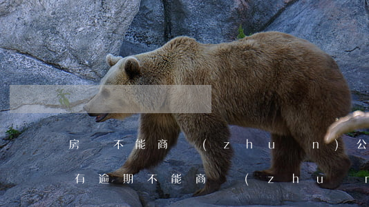 房貸不能商轉(zhuǎn)公怎么辦（房貸有逾期不能商轉(zhuǎn)公）