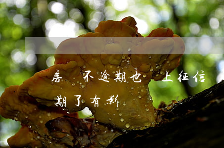 房貸不逾期也會上征信嗎(不上征信的貸款逾期了有影響嗎)