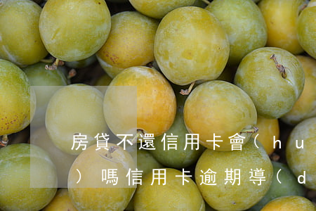 房貸不還信用卡會(huì)凍結(jié)嗎(信用卡逾期導(dǎo)致儲(chǔ)蓄卡被凍結(jié)不能還房貸)