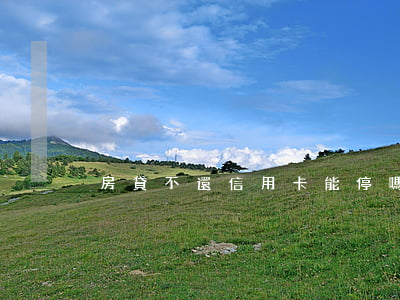 房貸不還信用卡能停嗎