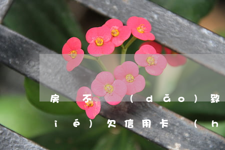 房貸不還導(dǎo)致信用卡被凍結(jié)(欠信用卡會(huì)被凍結(jié)房產(chǎn)嗎)