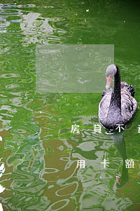 房貸不還影響信用卡額度嗎(房貸不還影響信用卡額度嗎)