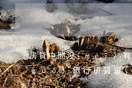 房貸中間沒(méi)有逾期怎么辦(中國(guó)銀行房貸 沒(méi)有到還款時(shí)間 就顯示逾期)